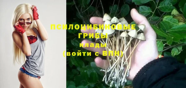 PSILOCYBIN Абаза