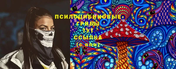 PSILOCYBIN Абаза