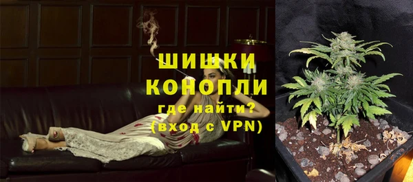 PSILOCYBIN Абаза