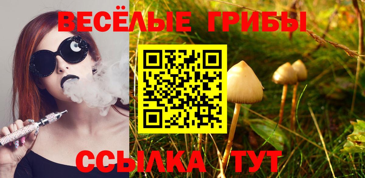 Псилоцибиновые грибы Magic Shrooms Донецк