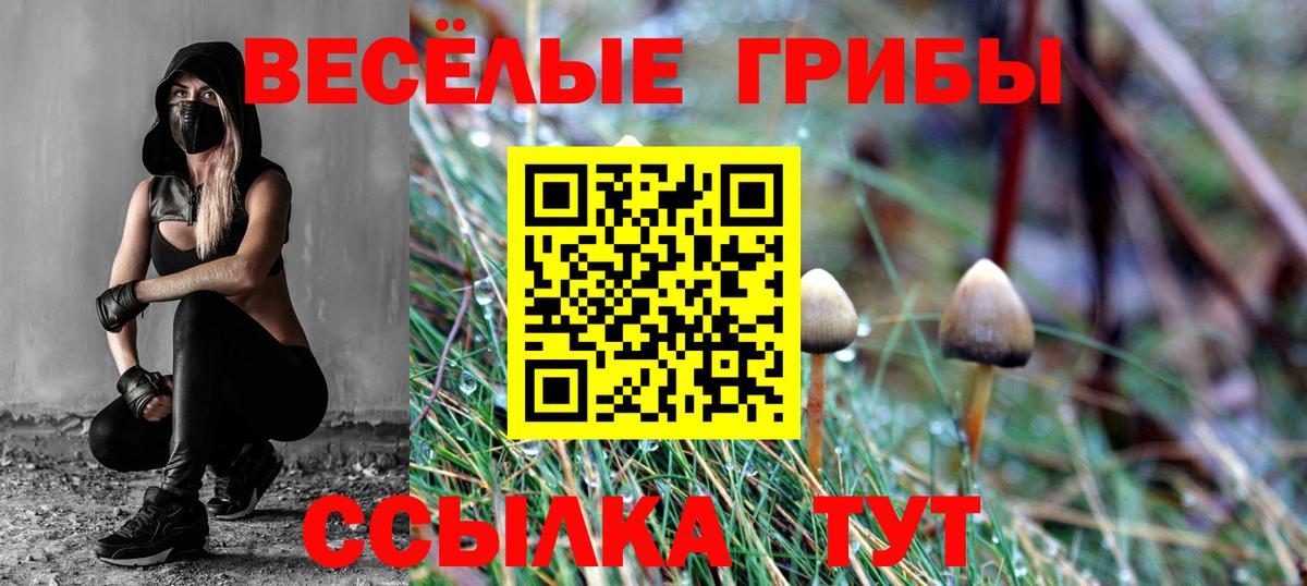 Псилоцибиновые грибы прущие грибы  Вход с VPN  купить наркотики цена  Донецк  Галлюциногенные грибы GOLDEN TEACHER 